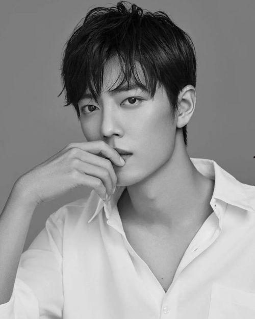 娱乐圈吃瓜爆料肖战小说,娱乐圈风云再起，揭秘明星背后的秘密